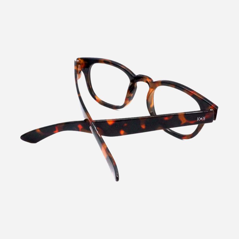 K10 EC - Screen glasses with or without presbyopia correction