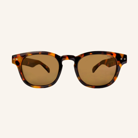 Polarized Pantos sunglasses for Men & Women